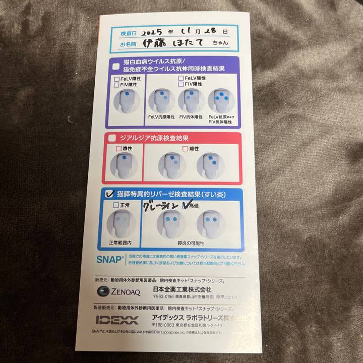 58d03350 fb8a 4386 9e55 83c3a9cc6906 1764326719825