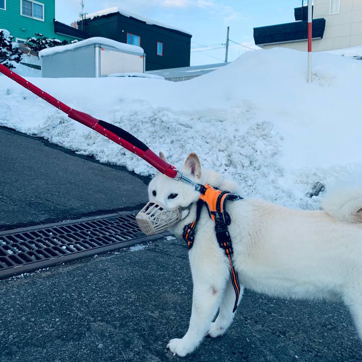 58d04b6e ef52 483a b751 7a878a1bea01 1675723285694