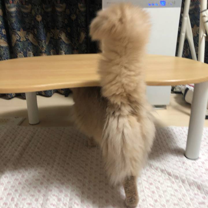 58d06014 1a04 469f a1cf 91914daab534 1652717355958