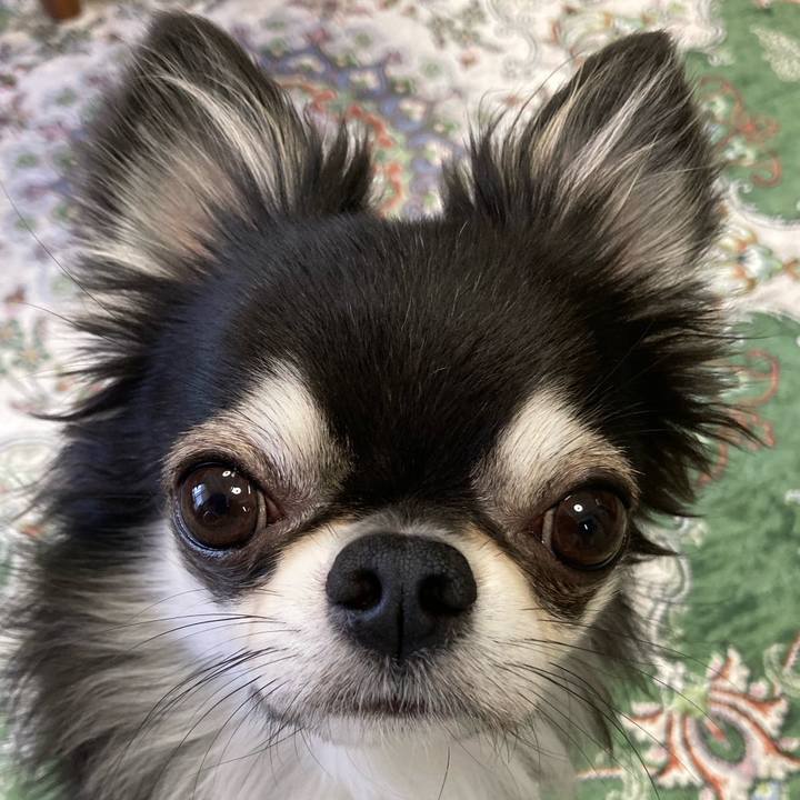 58d080d5 21e2 4a61 a5a9 c9c8d8ea6a39 1654989097258