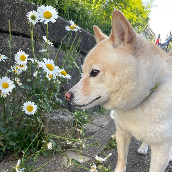 58d08ef4 ad32 4288 98e4 549de4f191ce 1714798560796