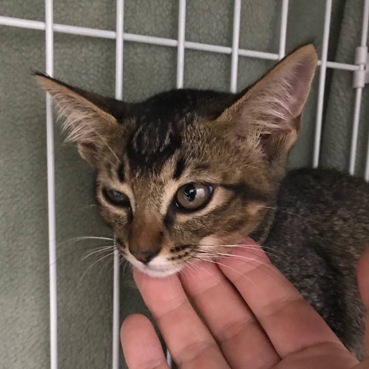 58d0b9c8 b836 4ed4 859f 1ac742415fd1 1532355883552