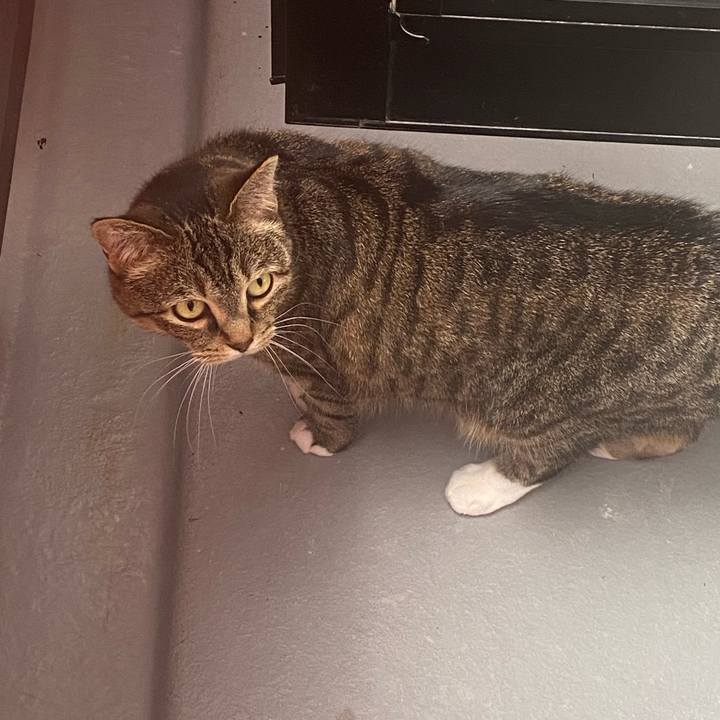 58d0e24a c18a 4afa 9ea6 fd1aae257be7 1622865665005