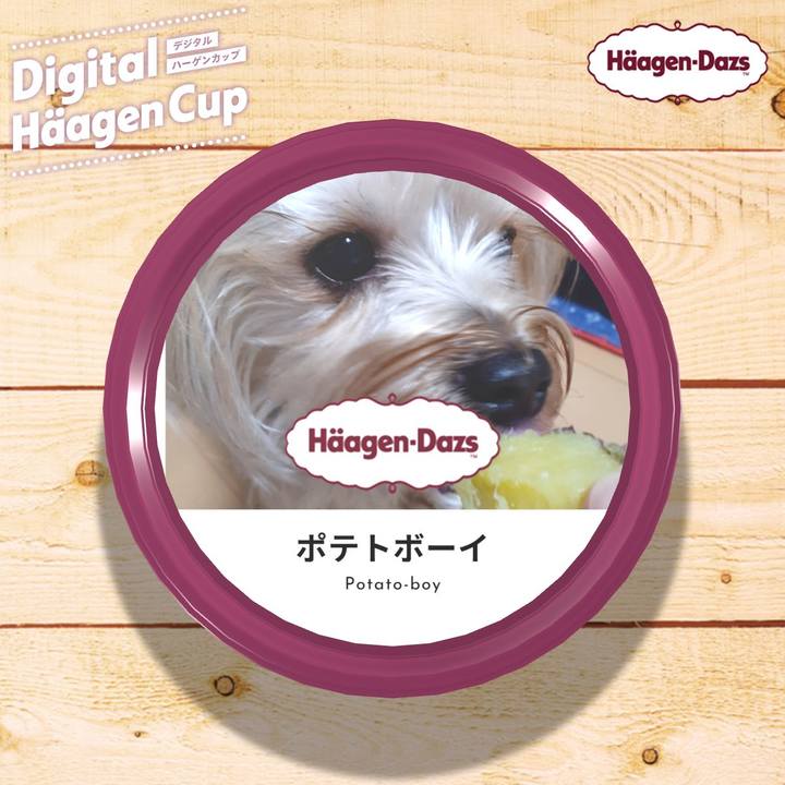 58d0f08b ea36 40ec bb88 b1909c9c0f72 1607502487848