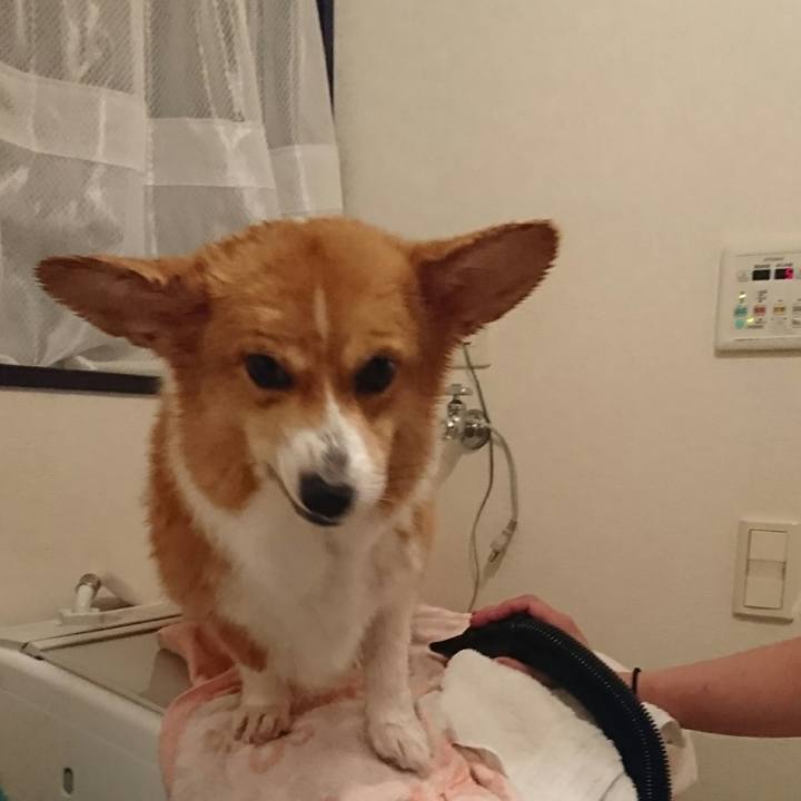 58d15401 6d1c 4fa1 9e97 51b987cba2f8 1538742514249