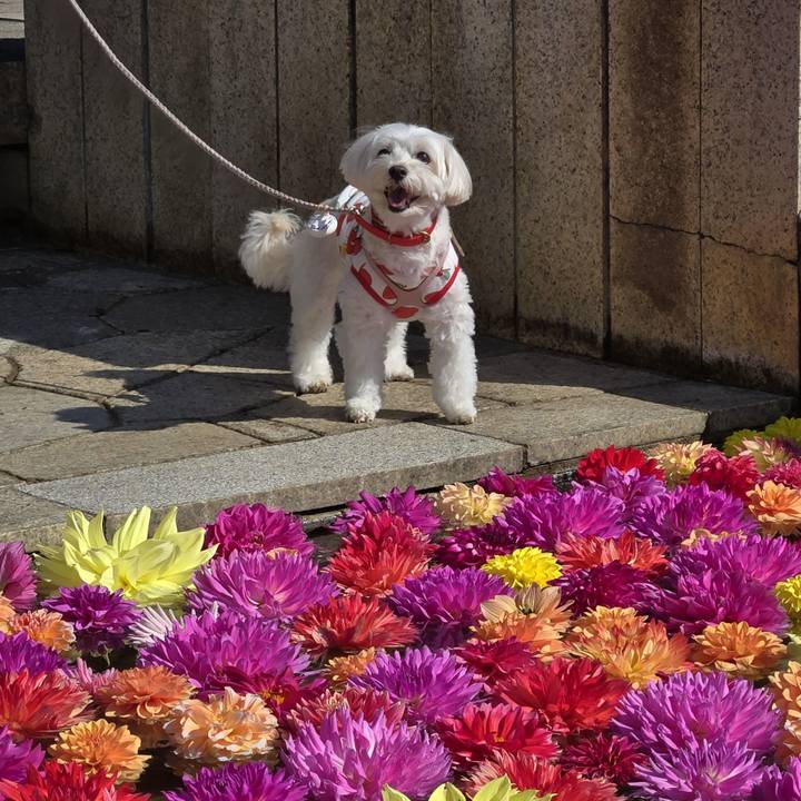 58d1cc76 72c5 4ce9 8eb0 79fb3753c9bc 1762064701455