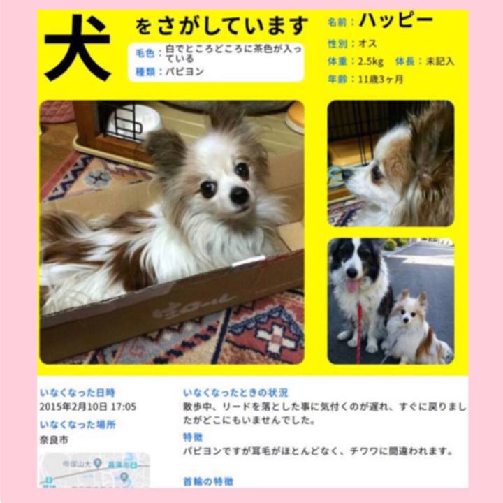 58d1e89f e78a 4084 b5a8 573702b198a4 1549886149637