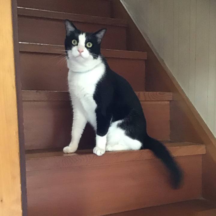 58d1e984 6176 48d4 b3e0 d7684278cabc 1726557443248