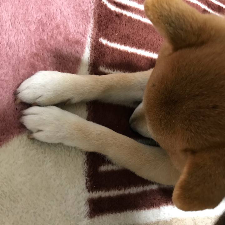 58d1f6ad 09ba 4195 8a0a 094831d790cc 1518485910155