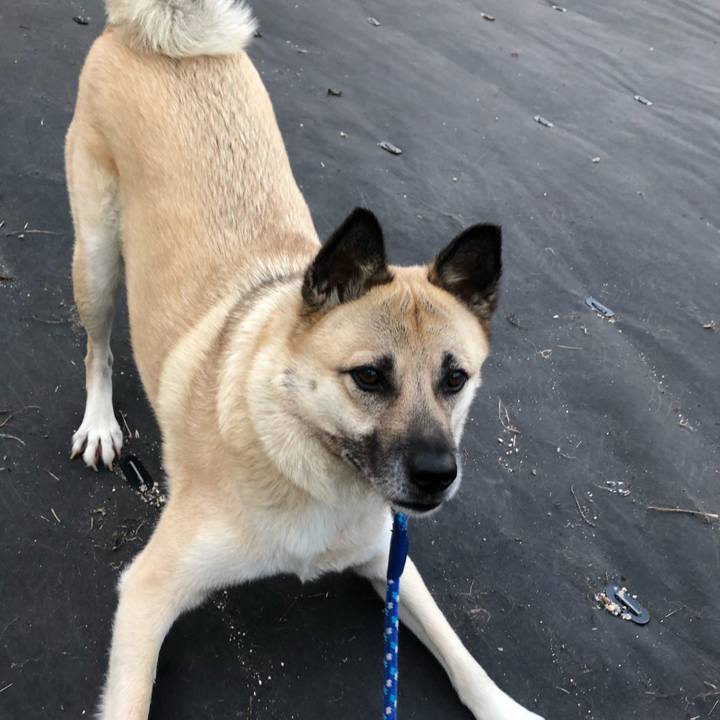 58d21b3c c679 4cc4 b47d 3952420d4201 1623240214132