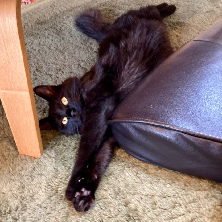 58d226a5 8e38 414d b386 1a7a05df3d5d 1720136331883