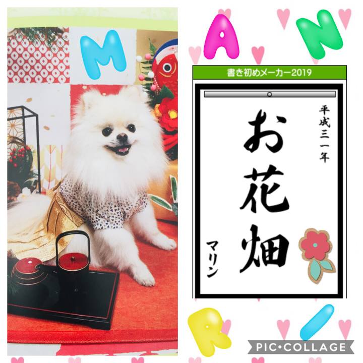 58d24bd5 8f29 4cac a47e 436a740f0410 1546358135267