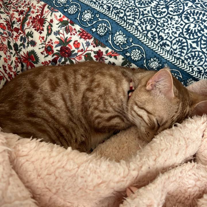 58d2a5a1 5834 4188 a8da 6ac68798f586 1684036927648