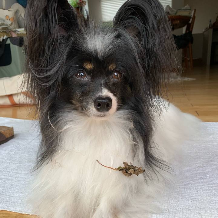 58d2bb45 90ee 41ef b10c ca6a47d73bd0 1629619149682