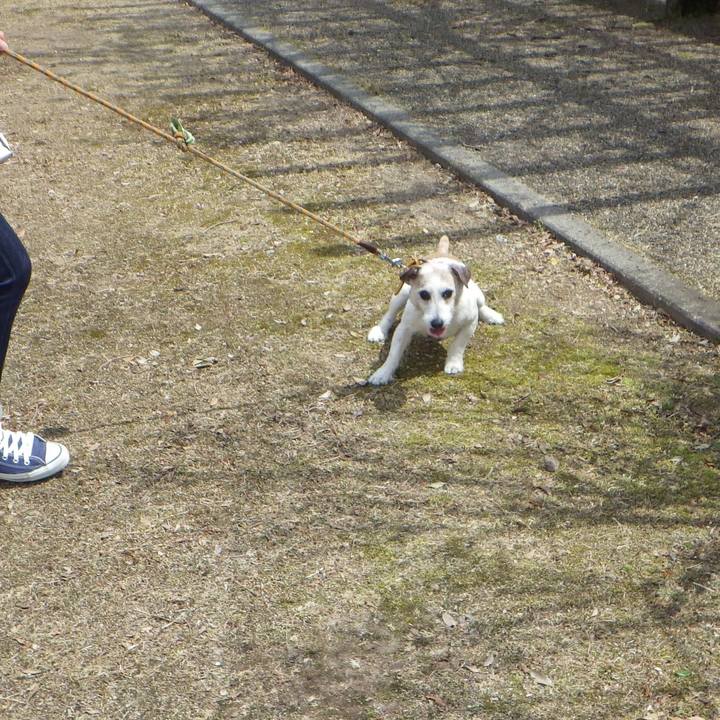 58d2c15a 399b 4d83 a5d0 df1d670299fc 1619091013372