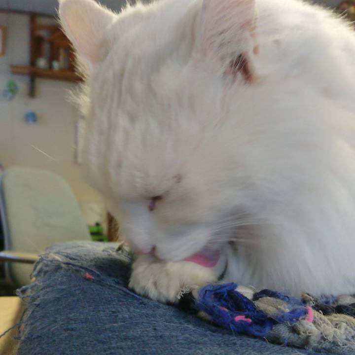 58d2cb4b 98f0 4c51 bdea 54e50aa7c27e 1551997717071