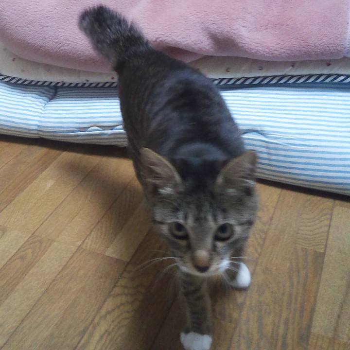 58d2d4da 5f1e 49dd b8c3 9b0cd49c315b 1614182922890