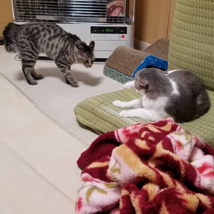 58d2fe58 c052 45f9 97f4 2f906f0d5d67 1675658155530