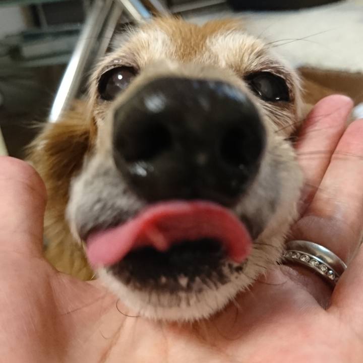 58d30ef5 4b45 4006 aa59 839fcdec47fe 1601077688405