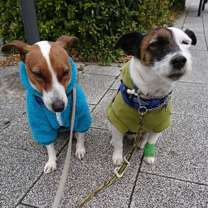 58d31977 134f 4fed 9e70 f8a523433d0a 1612740925352