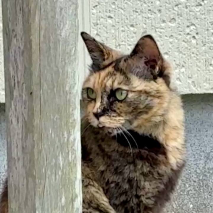 58d37c19 aabf 4345 8404 16b45a9bf9ef 1750410683509