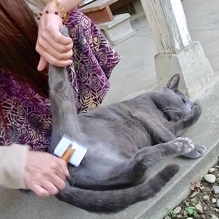 58d4072a b44c 44db 9c19 e5168f30e42d 1540459277941