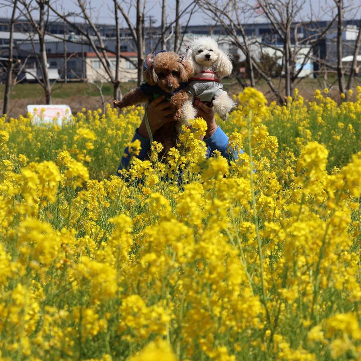 58d42933 ba38 4538 94cb 5138d080dd3f 1774586592152