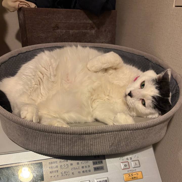 58d48254 d3ef 400c 8c7e ab35f803a048 1769523348804