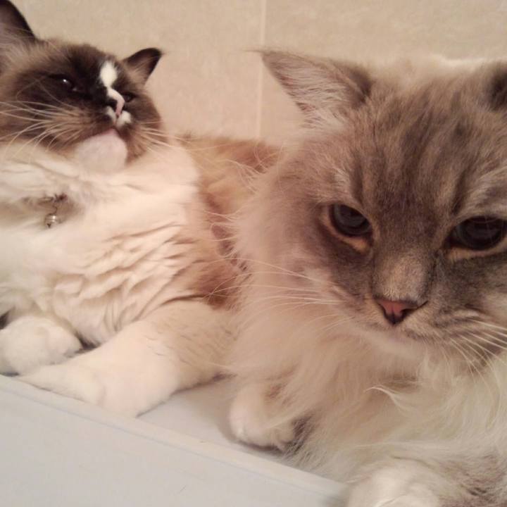 58d4ba76 e886 4fd9 b97e ea8f7681d55b 1526596699379