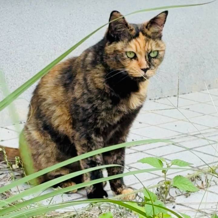 58d4ba8f d062 478f 8d9f 287f20ab5eff 1758871528216