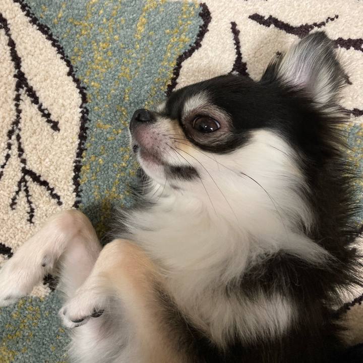 58d51460 dd9a 4ea0 be24 4b087dd3b5e1 1622989809239