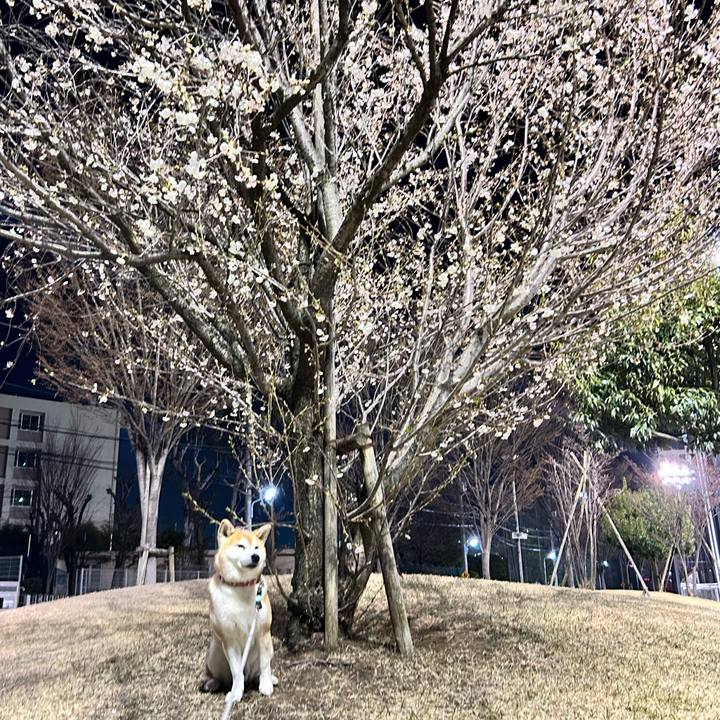 58d532ff e055 4964 8e3d c10d89b2adac 1773751329909