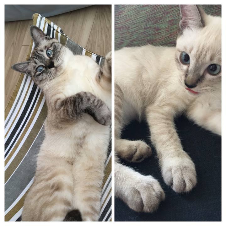 58d5a7aa 75b1 49af 9a3f 88c92035643e 1594885770260