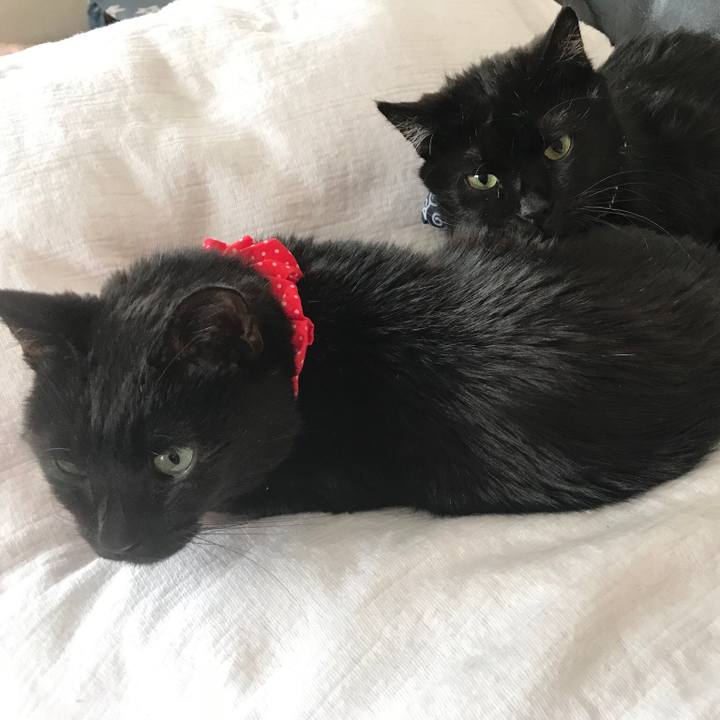 58d5dc44 a389 405c ab14 eafec4c87091 1561249971074