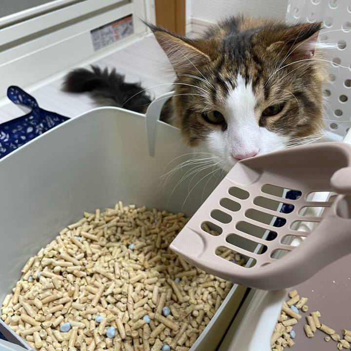 58d63b44 470f 4769 a59b e9226bbbd295 1654396459453