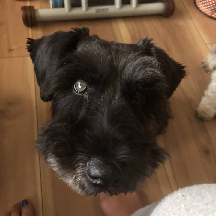 58d647d5 1a62 4bff b83e e117e4a1f4bc 1569387103222