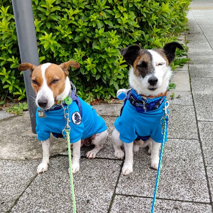 58d66fcc 979e 49d1 acdf f6587473916a 1623886443727