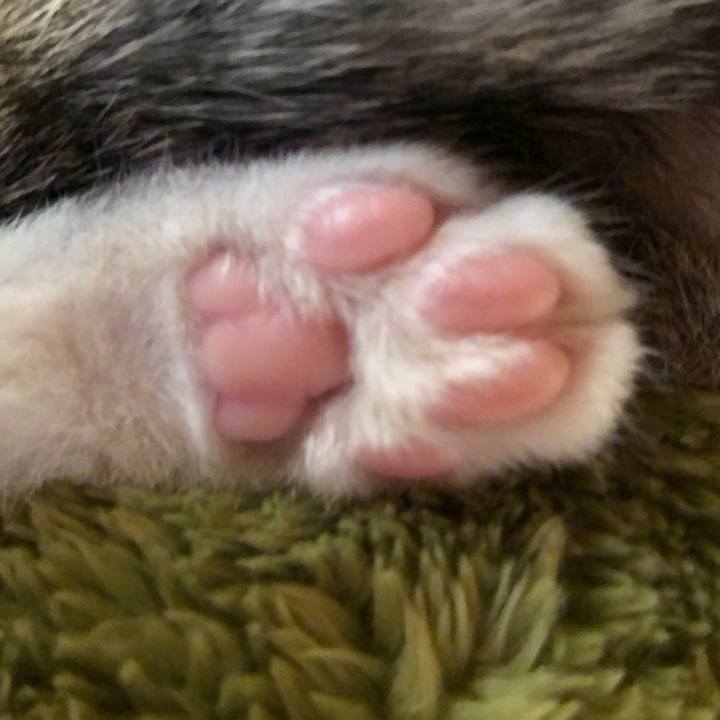 58d6a95b 3155 4121 a951 e8e2def1ea3d 1542784747510