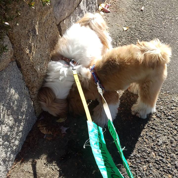 58d6b221 5de3 4101 80ec 8c5e7ee5cd1b 1574318924511