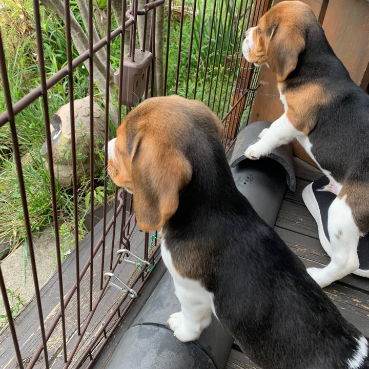 58d7181b e289 4488 8887 d10050fd14a3 1617964496223