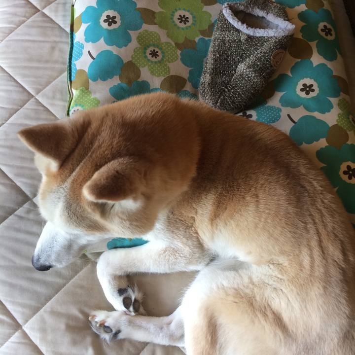 58d731a6 02d1 46fe bf70 456a4cfe133d 1563356419890