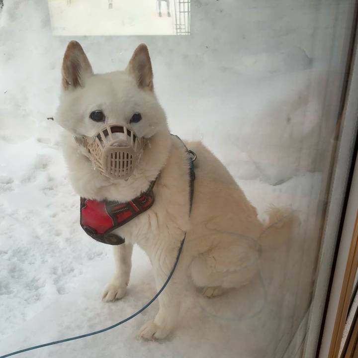 58d7332c 4ffb 4763 80e0 27fb07e80c5e 1771363944173