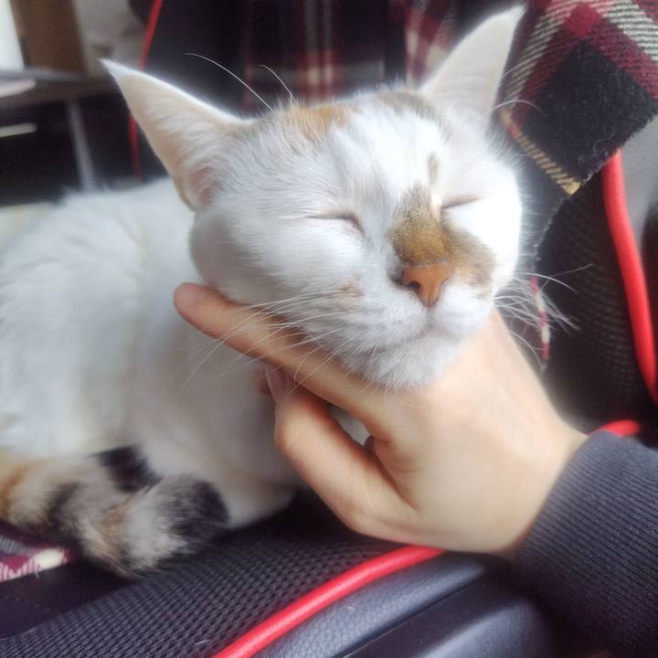 58d7c037 5834 476c 89e2 893a90554440 1772246526312