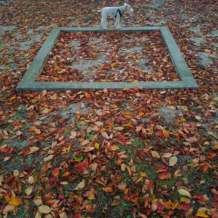 58d82072 87fb 469e 8d0e 2d344a986955 1542455256121