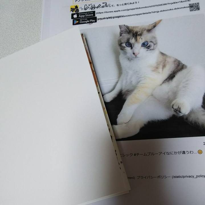 58d840c6 e88b 4d04 9a9e 443a8d14a1c4 1538904069116