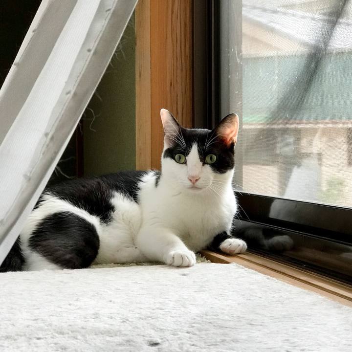 58d86c95 4d7b 4ea9 9b51 3dc3098df213 1535070758205