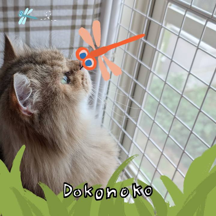 58d8d2a7 6e3d 4c90 bac4 cddfb7beac6c 1726874692868