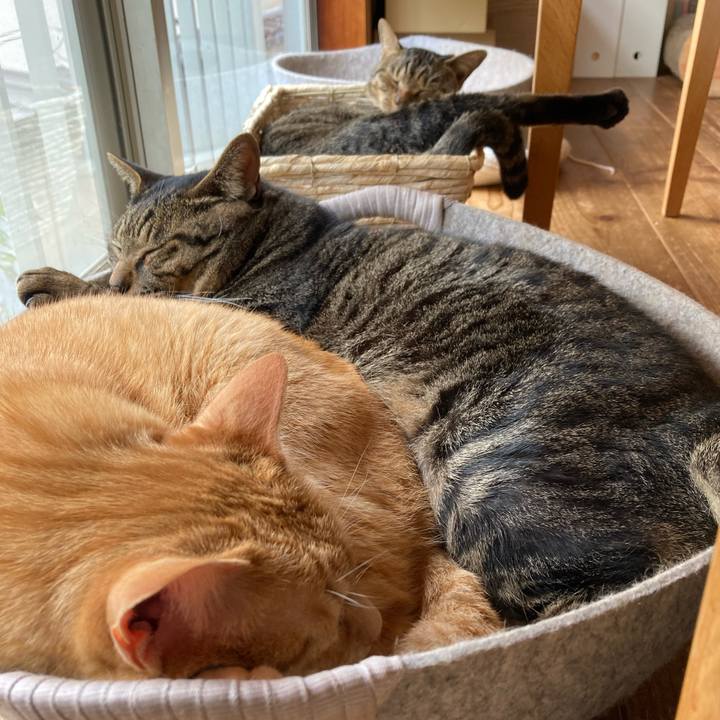 58d8d6f1 46ce 4021 809a 41c26e4e3521 1749042716047