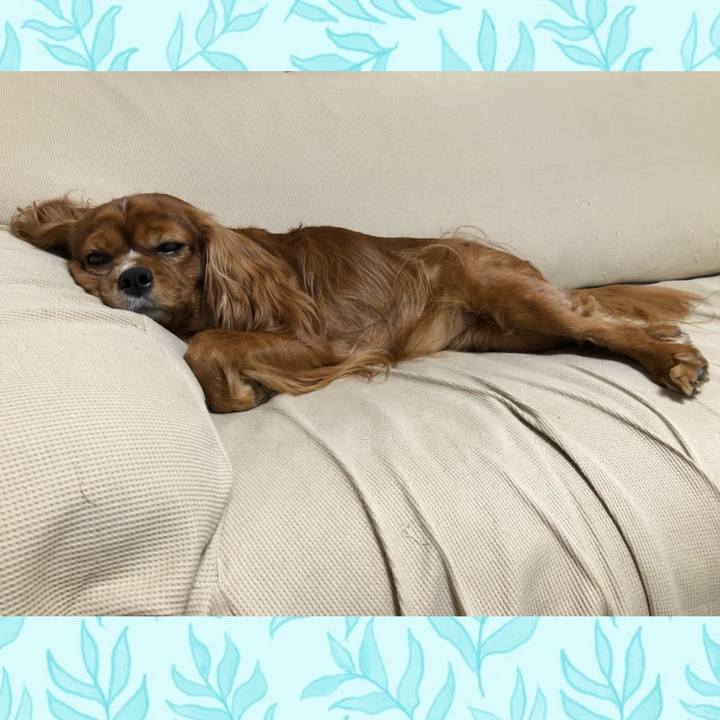 58d8e508 f6e6 405d 8941 d0bdd5b81329 1602594314864