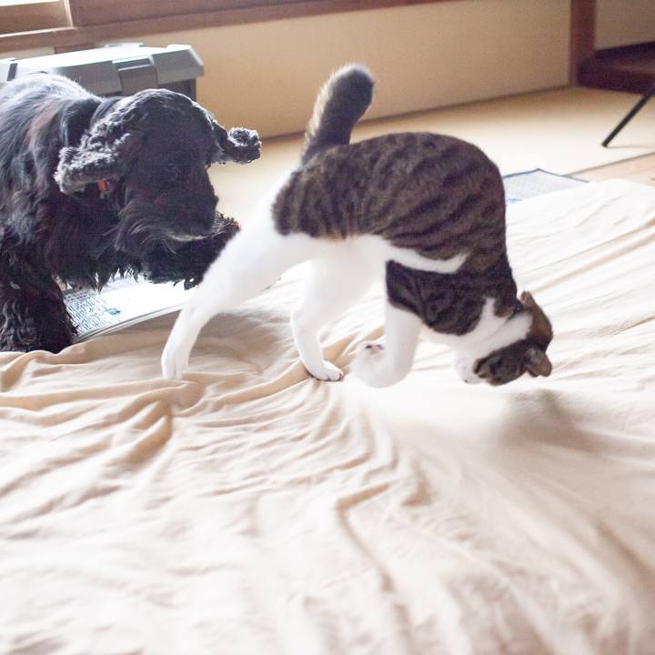 58d9082d bd0e 4836 b319 497f91aa01dc 1556729384647